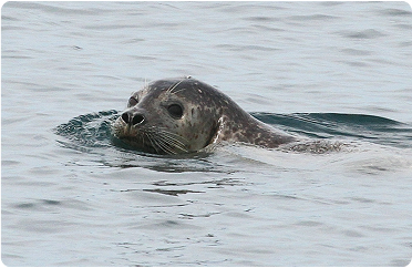 Kennebunkport, Maine Gallery Image 3