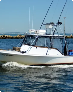 Powerboat Scenic Cruises