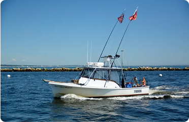 Private Four Hour Scenic Cruise Gallery Image 2