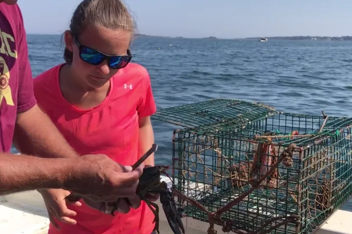Private-Maine-Lobstering-Scenic-Cruise-image-5