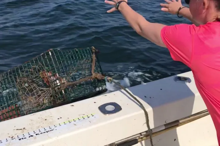 Private-Maine-Lobstering-Scenic-Cruise-image-7