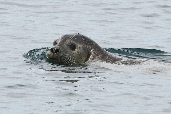 image001