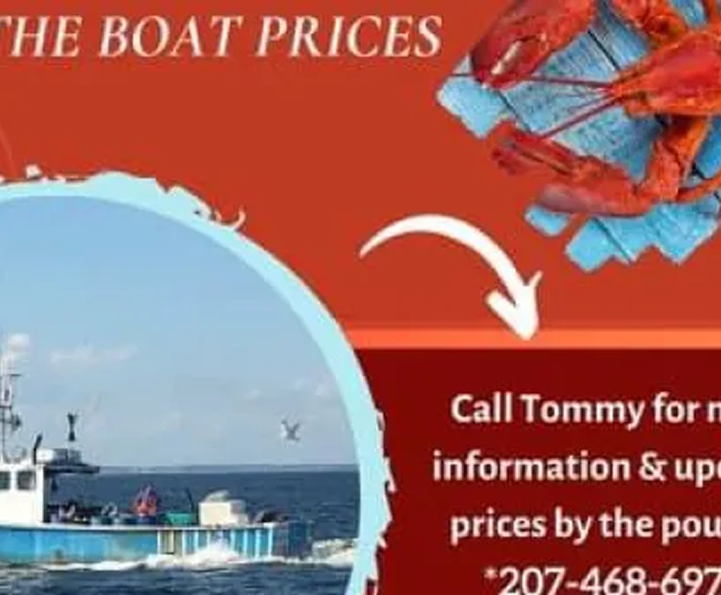 Fresh Live Lobsters, Off the Boat Prices