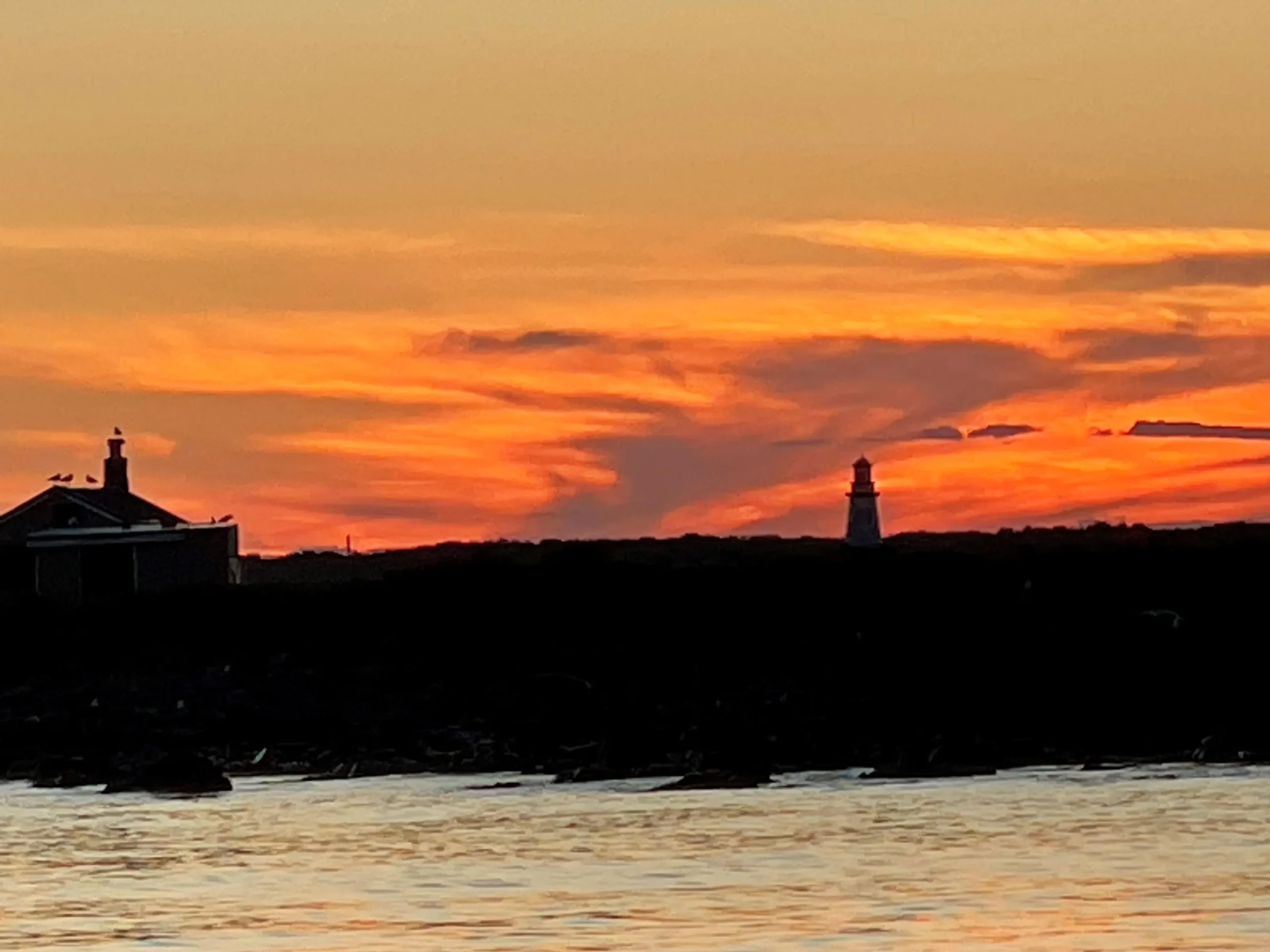 Sunset Sails Banner Image