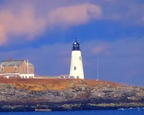 fishing-charters